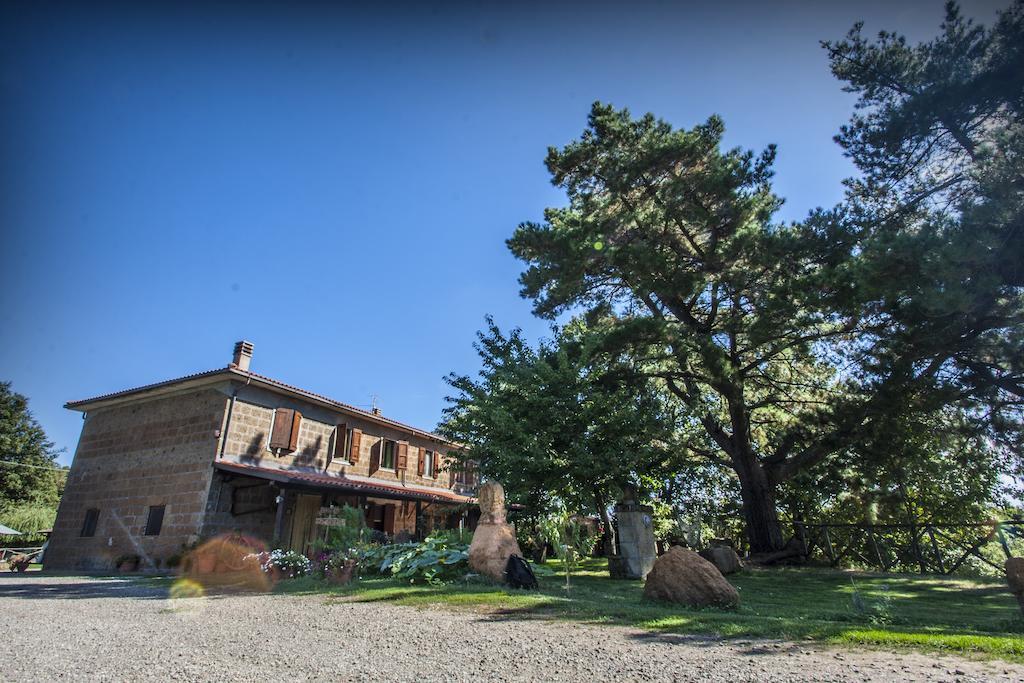 Bio Agriturismo Aia del Tufo Sorano  Esterno foto